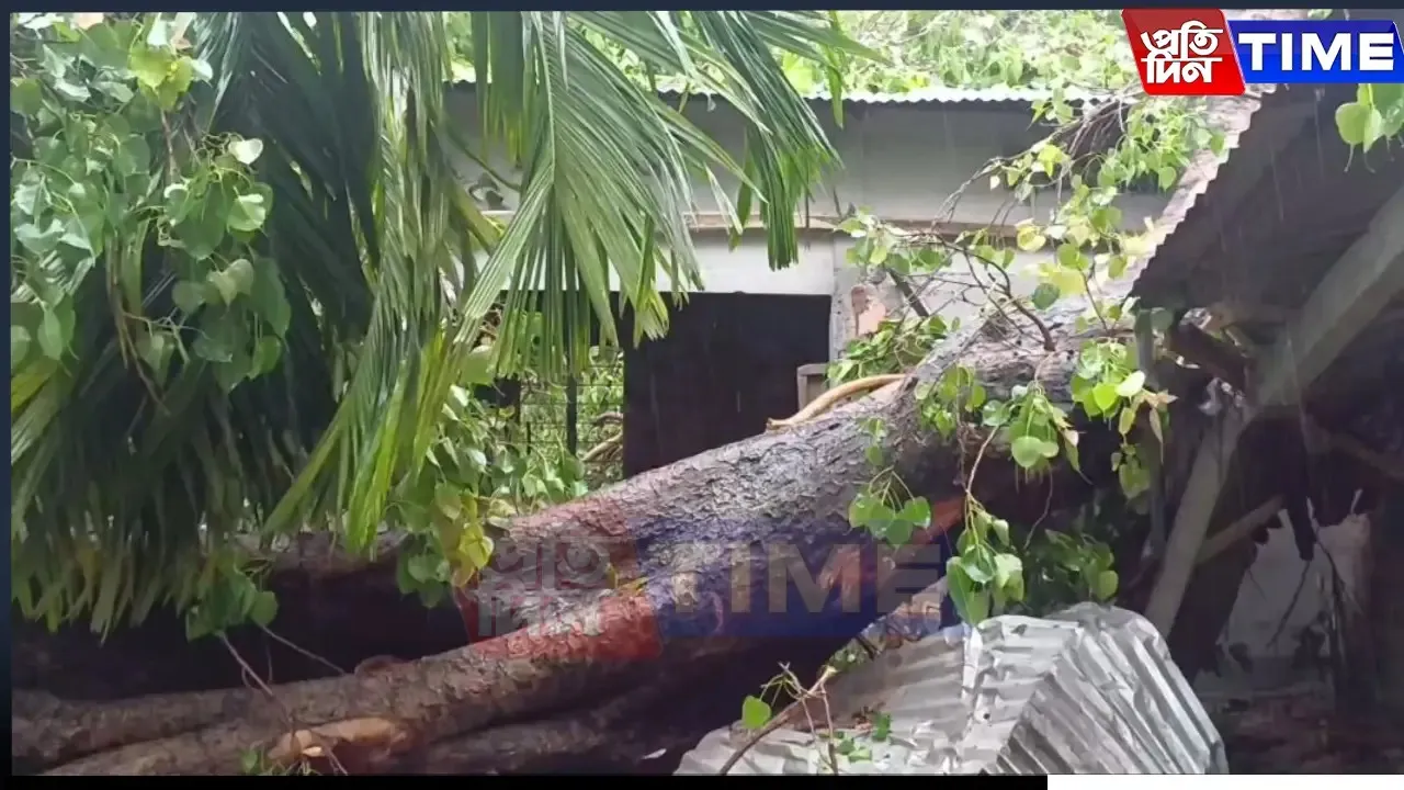 Fierce Storms Batter Assam: Injuries, Destruction Across Districts