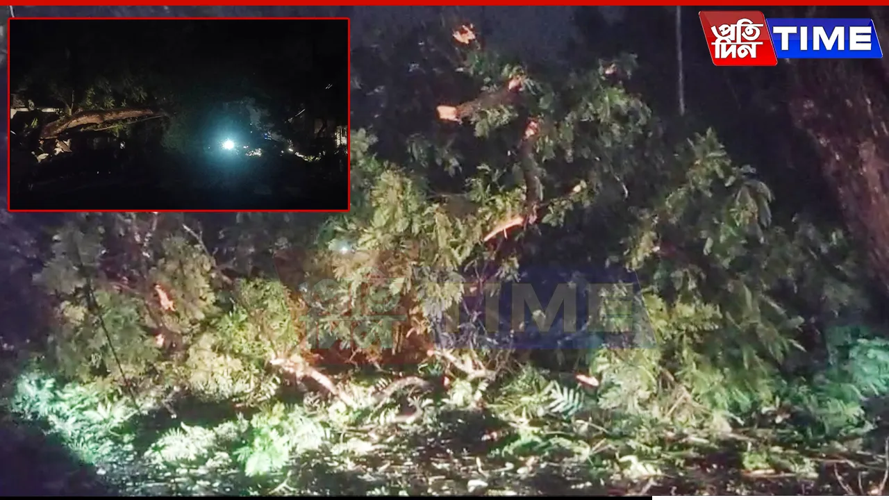 Tree Falls on Road in Kahilipara, Triggers Major Traffic Jam in Flood-Hit Guwahati