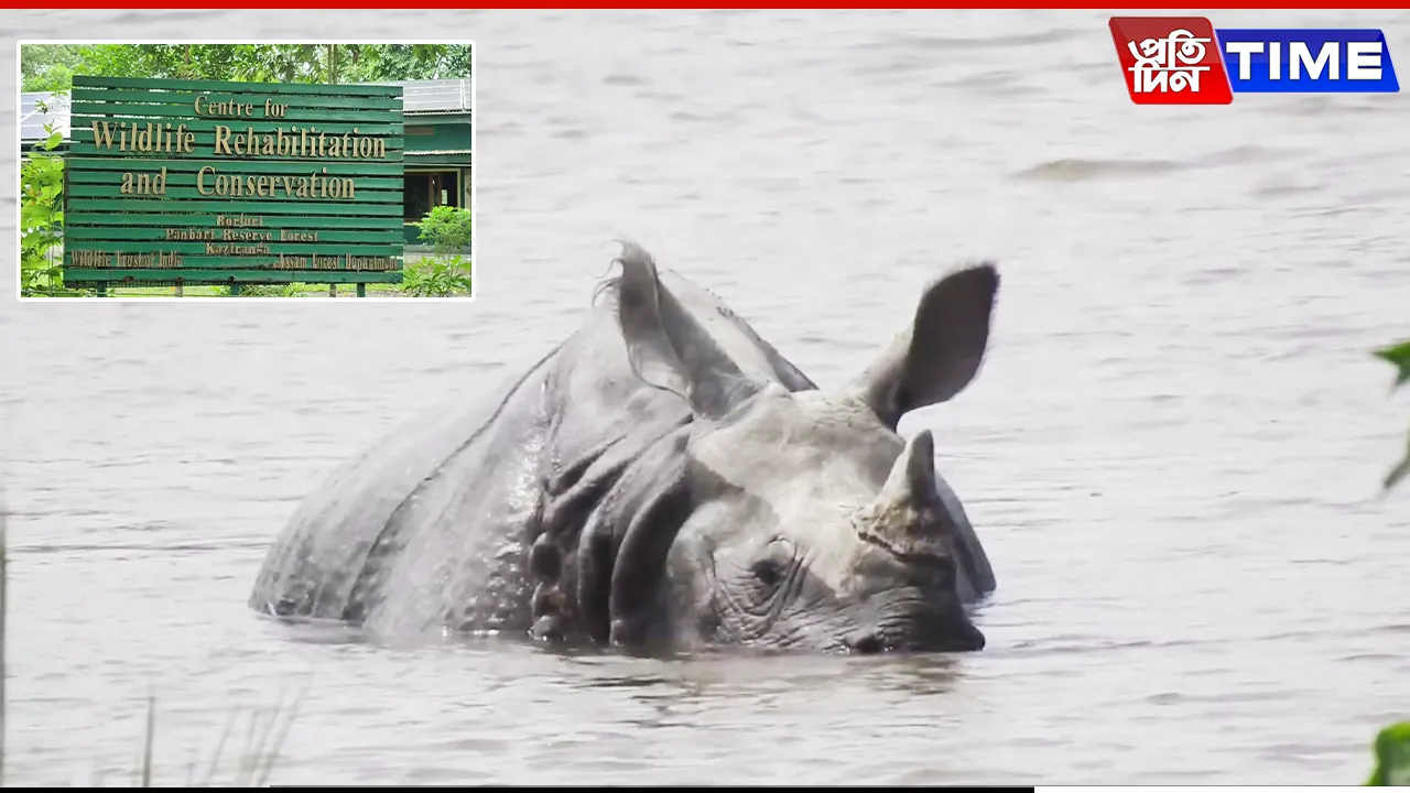 Kaziranga CWRC Gears Up for Wildlife Rescue Amid Rising Flood Threat in Assam