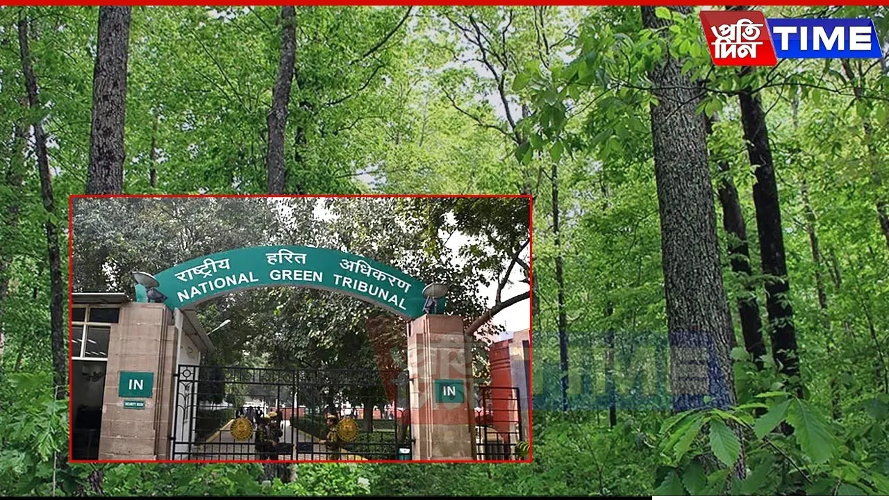 Daldali Reserve Forest: NGT Sets Up Joint Panel to Probe Encroachment