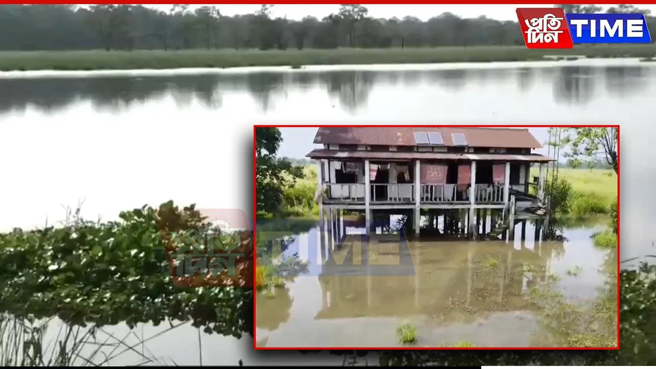 Assam Flood Update: Rising Rivers Flood Orang, Wildlife and Camps at Risk