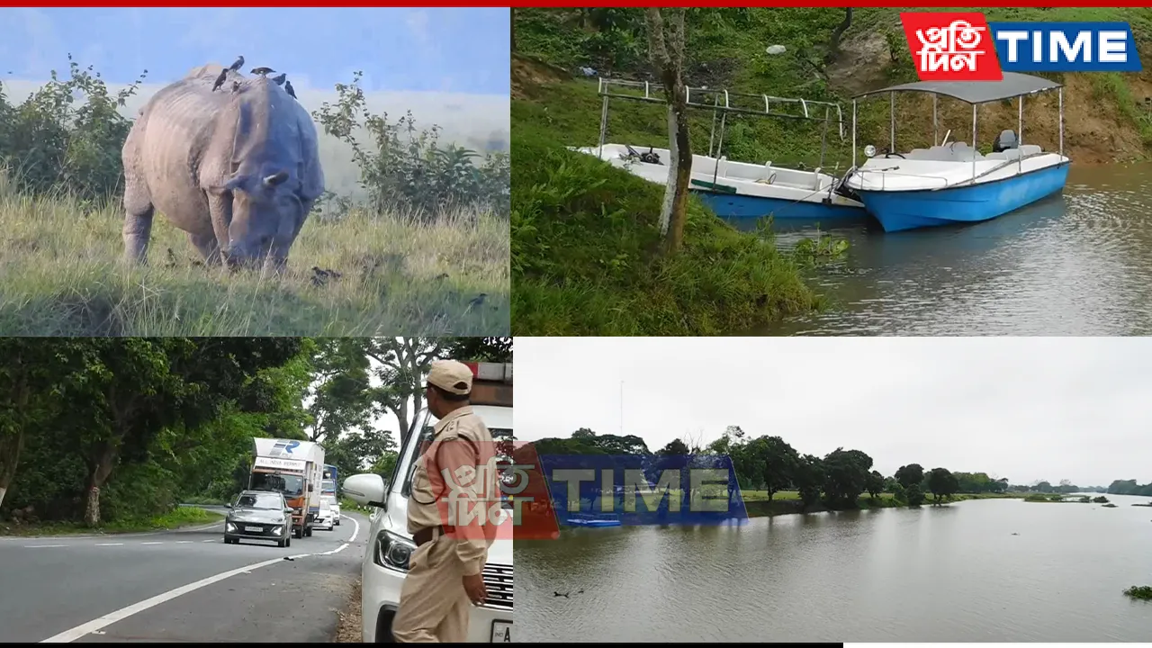 Assam Flood Update: Kaziranga Flood Spurs New Wildlife Safety Steps