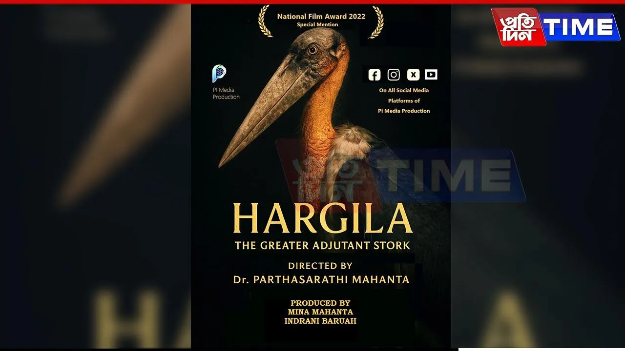 Hargila