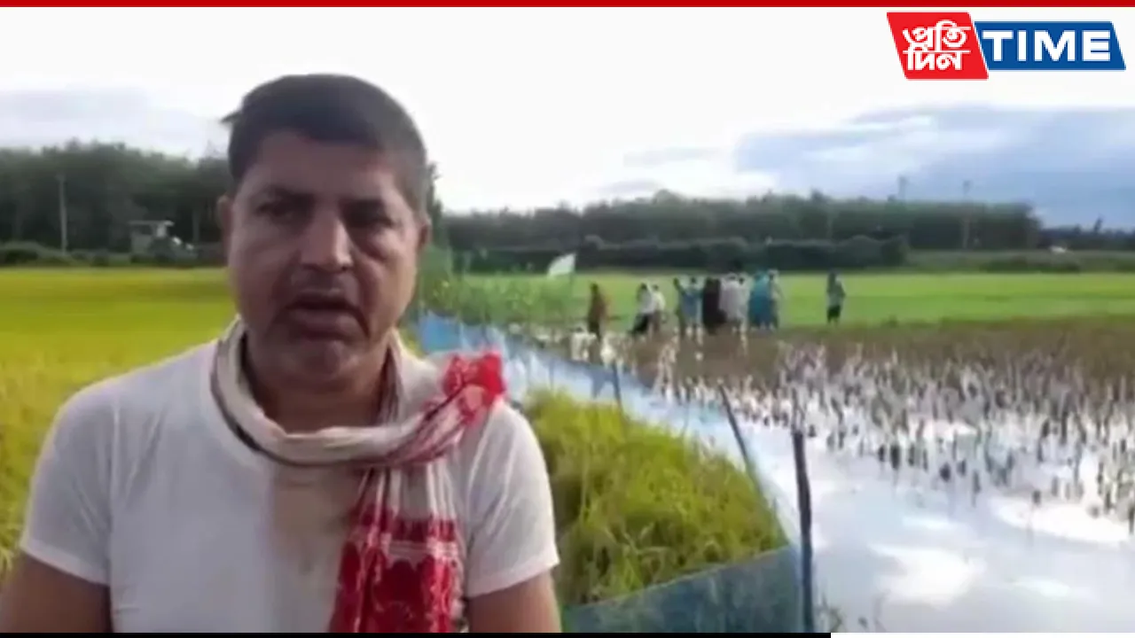 ‘I Am an Indian’: Assam Teacher's Ordeal After Being Allegedly Deported to Bangladesh