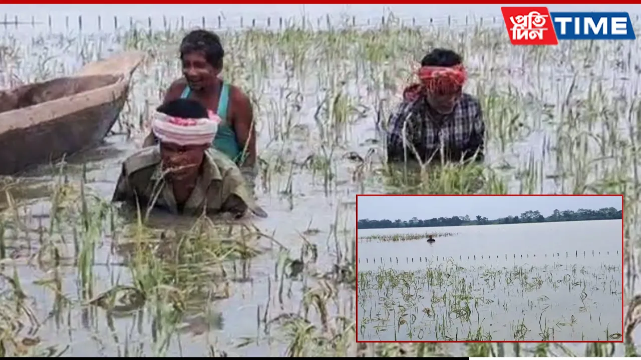 Flood Havoc in Dergaon: Farmers Seek Urgent Relief from Agriculture Minister