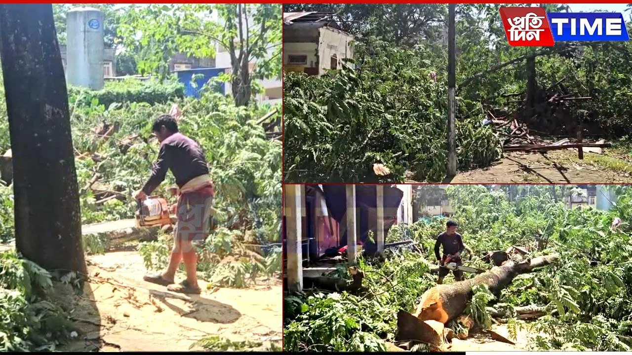 Tree Felling in Sivasagar Civil Hospital Premises Sparks Outrage
