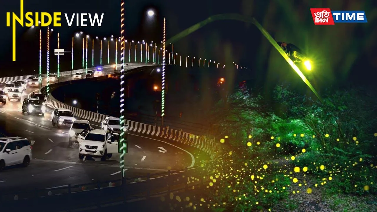 Where Have Guwahati’s Fireflies Gone?