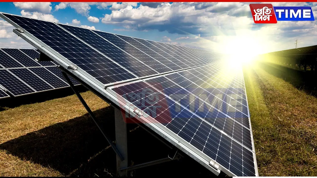 iFOREST Report