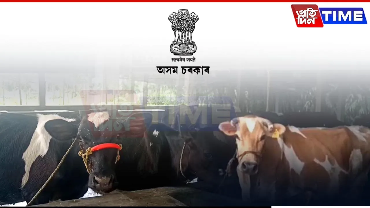 The Angst In Bongaigaon Over Govt Aid