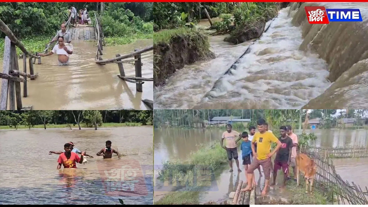 flood web