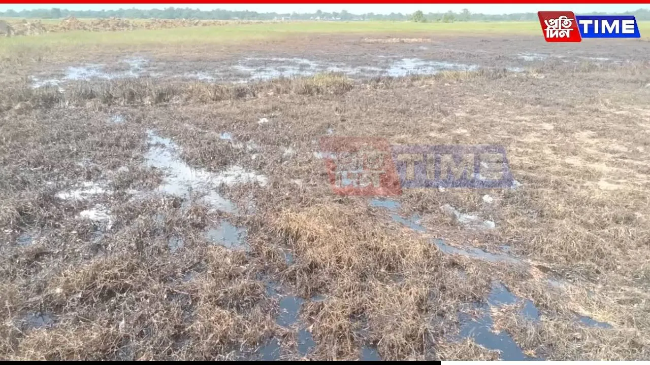 Assam: Crude Oil Leak from ONGC Pipeline Damages Farmland in Nazira