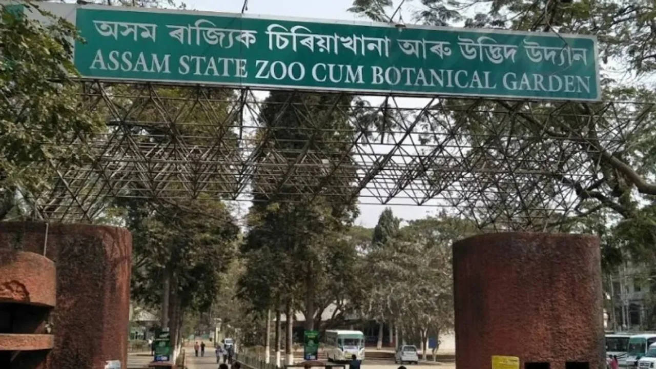 zoo