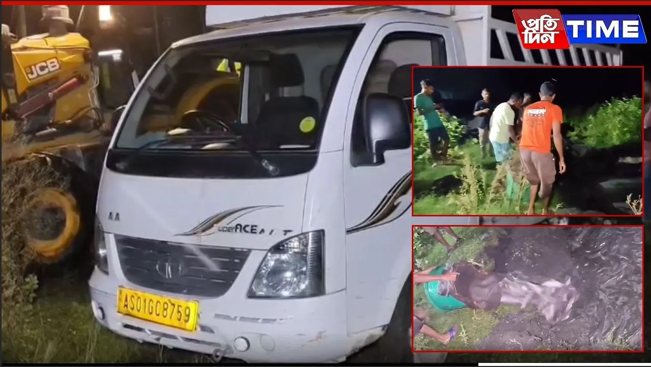 5 Quintals of Banned Thai Magur Bound for Nagaland Seized in Jagiroad