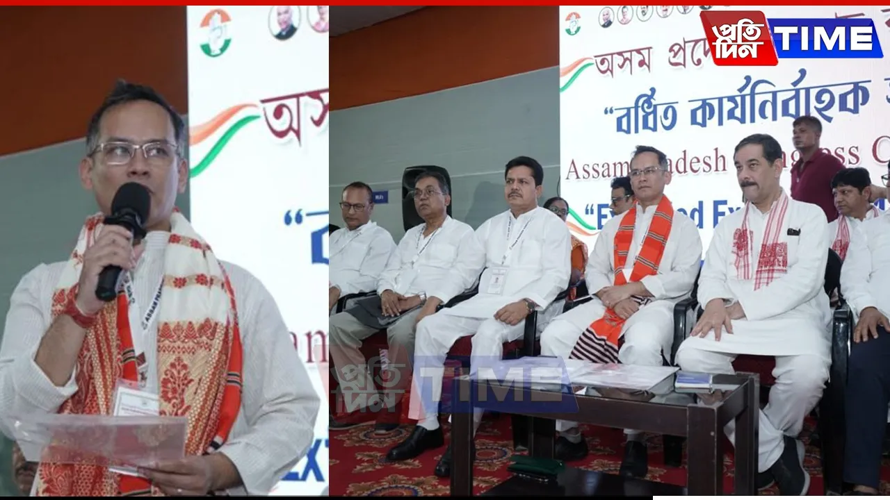 cong web
