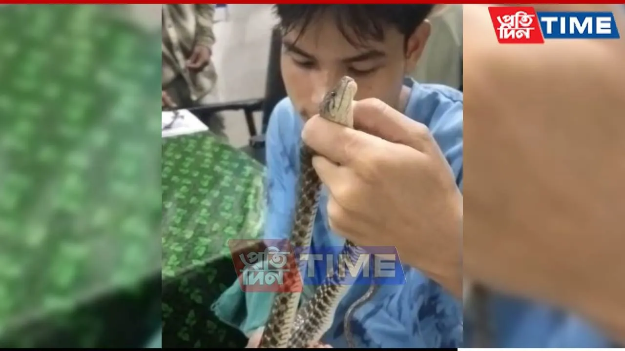 Young Man Brings Live Snake to Morigaon Hospital After Being Bitten