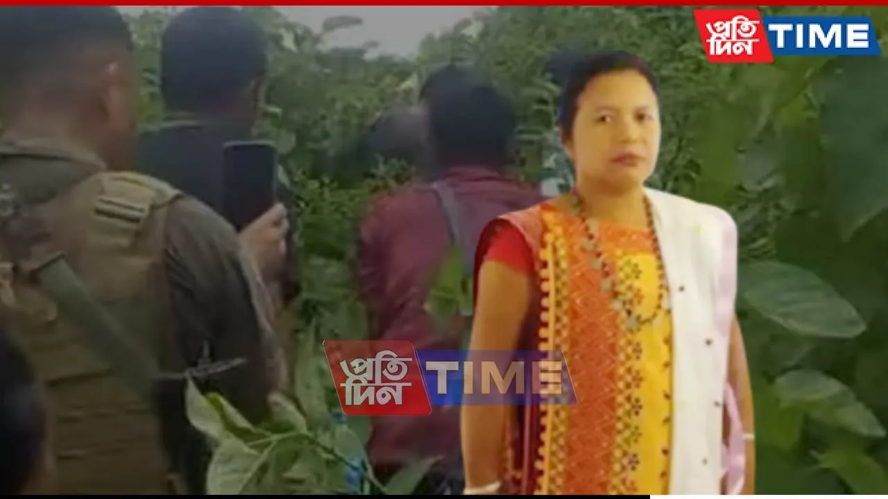 web pt dima hasao