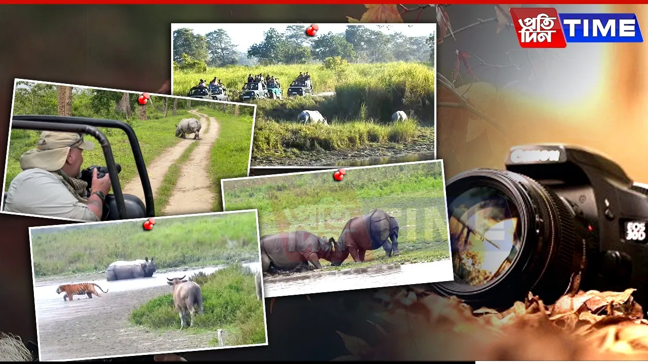 World Photography Day 2025: Magic and Memories of Kaziranga