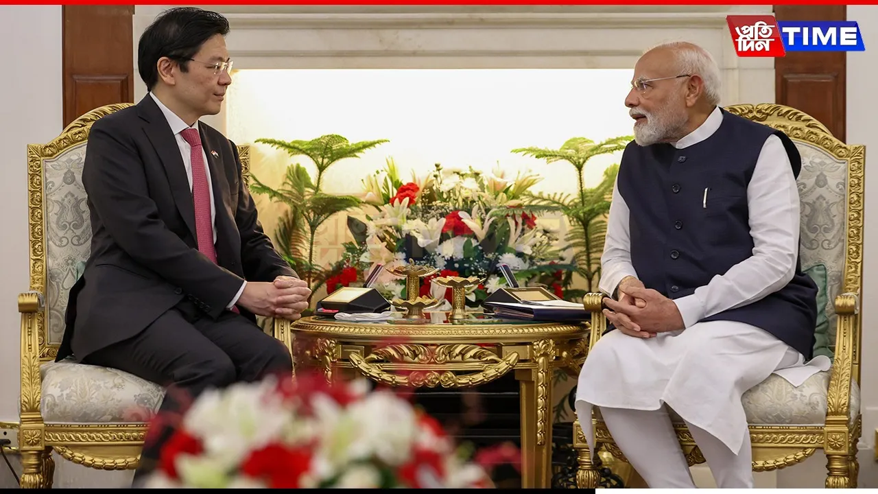 WEB PT modi
