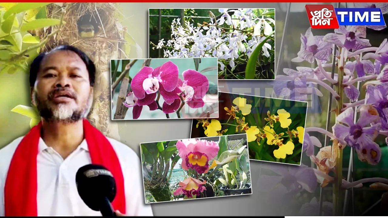 Not Just Flowers: This Park Is About to Change How You See Assam