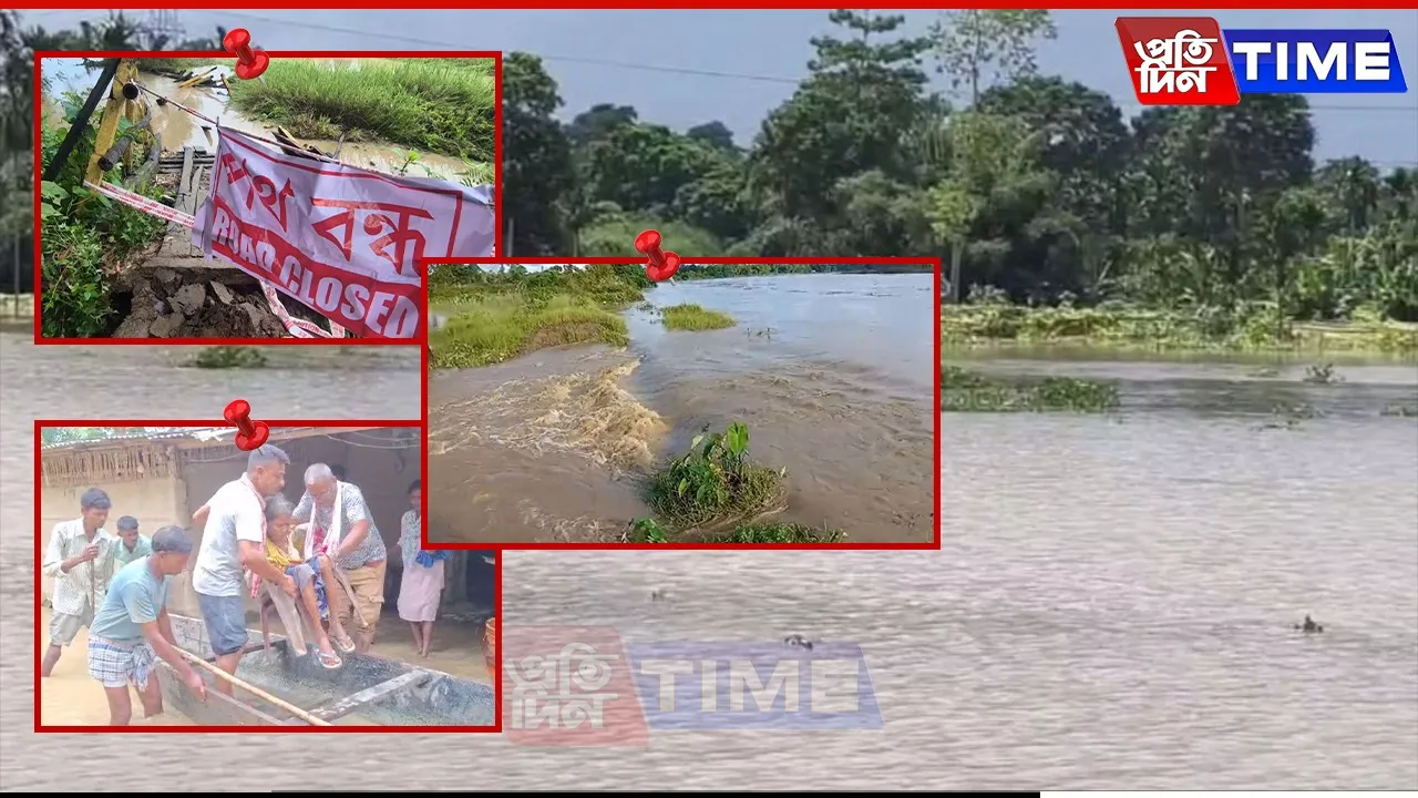 flood web