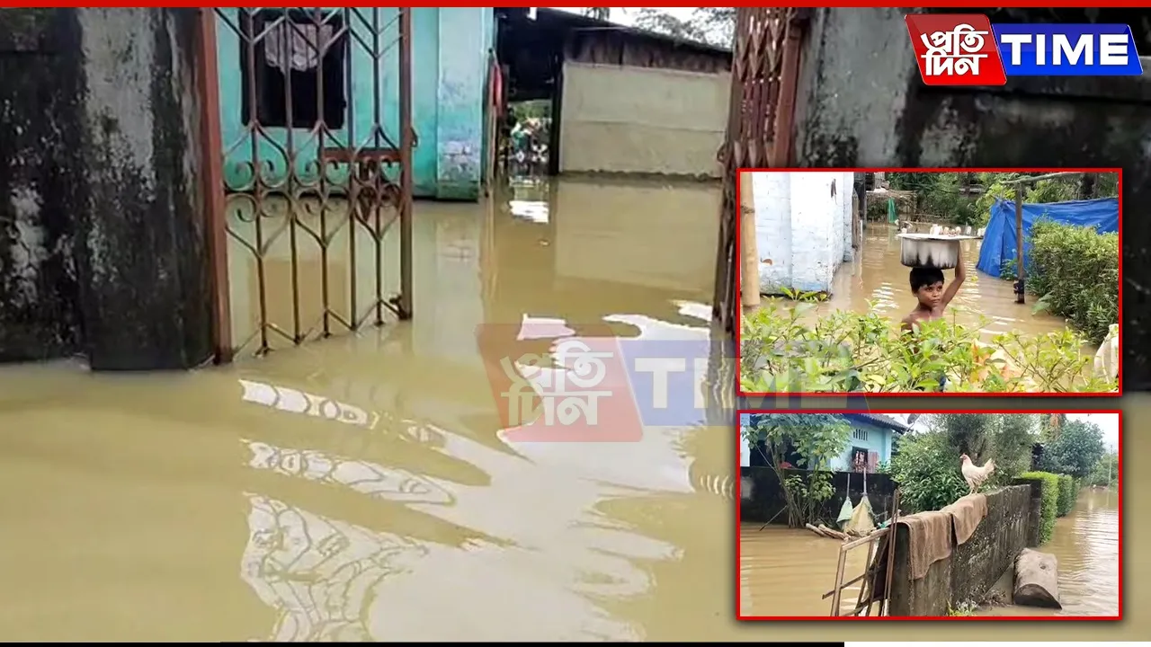 WEB PT  flood
