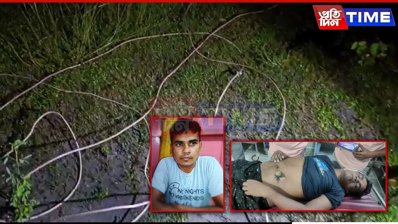 Assam: Bijni Youth Dies After Coming in Contact with Live Wire in Paddy Field