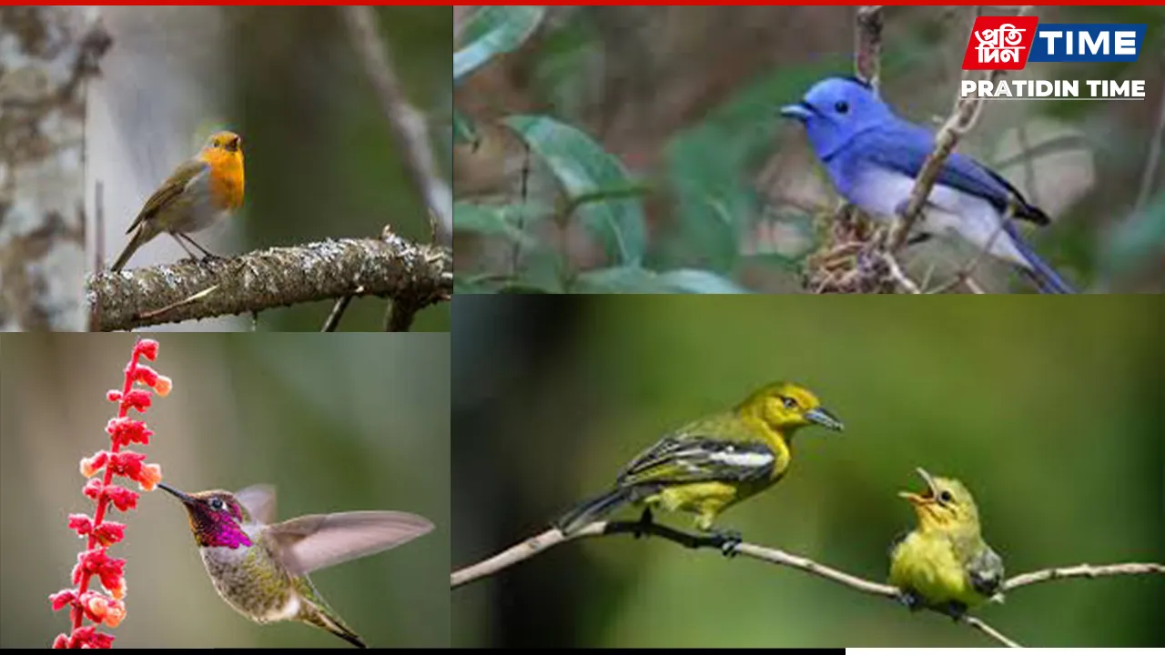 Young Birders’ Month 2025 Launches Nationwide to Inspire Children