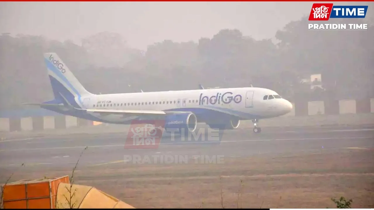 WhatsApp Image 2025-12-20 at 13.30.16