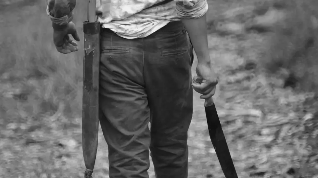 Assam: Majuli Man on Slashing Spree Injures 6 of His Family Including 2 Sons