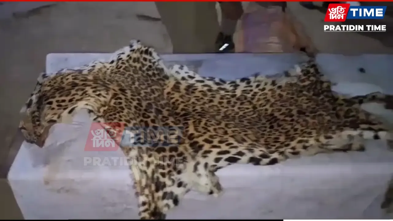 Assam: 3 Held With Leopard Skin, Bones in Goalpara