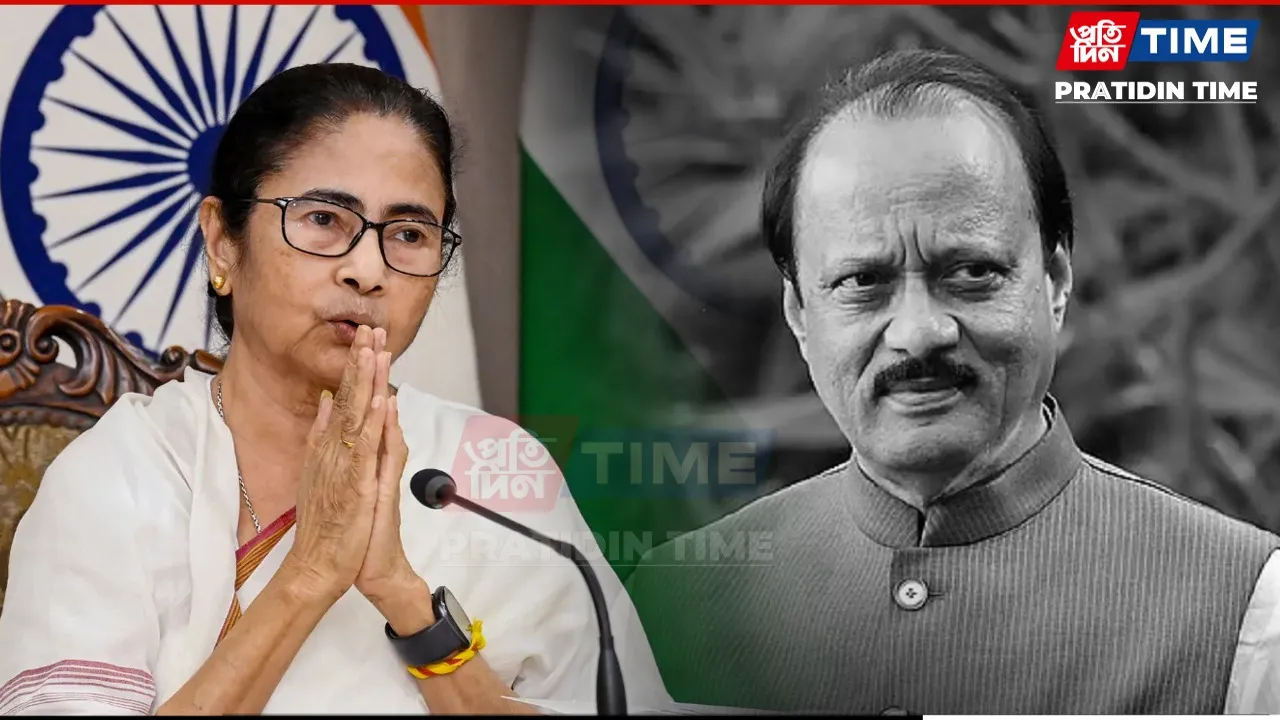 new pt web mamta.jpg