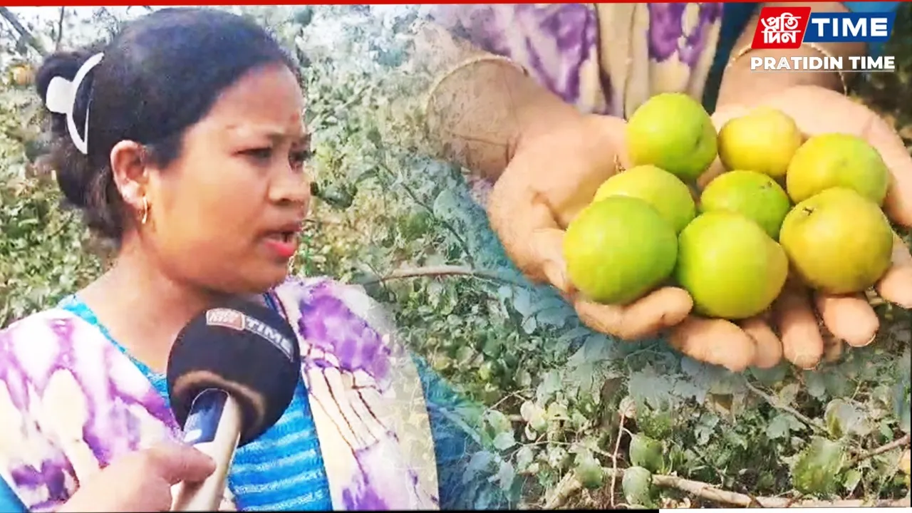 A Khumtai woman is making huge strides in self-reliance with her lush Bogori farm