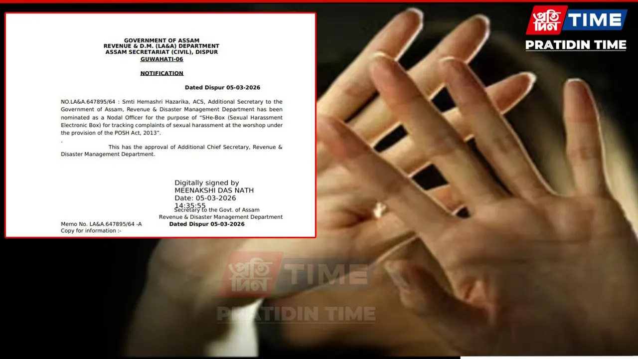 new pt web-Recovered