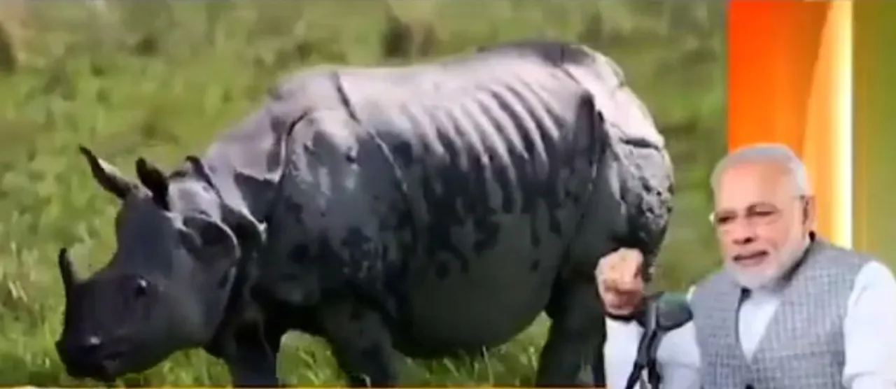 Mann Ki Baat: PM Modi Lauds Assam Government’s Rhino Conservation Efforts
