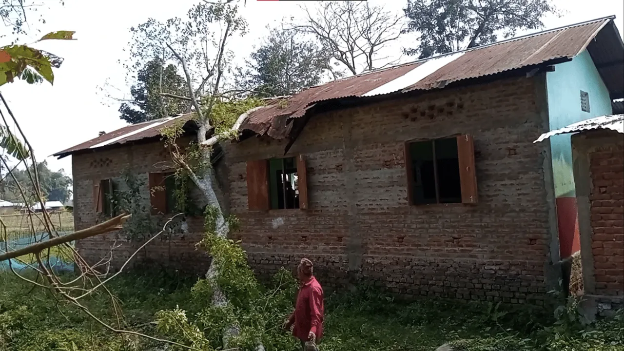 Bokakhat: Tree Falls On School Building Injuring 10