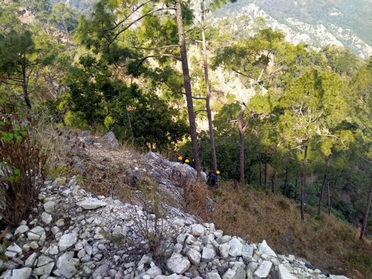 11 Dead, 2 Injured As Car Falls Into Gorge In Uttarakhand