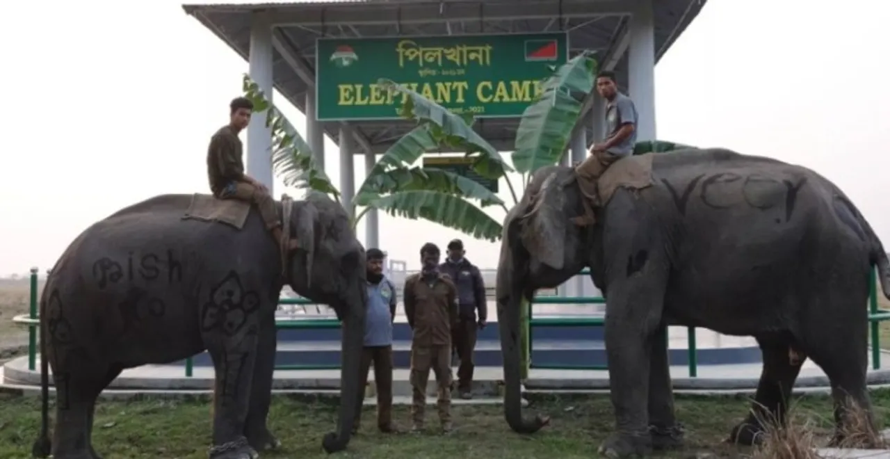 Assam: Elephant Feeding Centre Inaugurated At Kaziranga