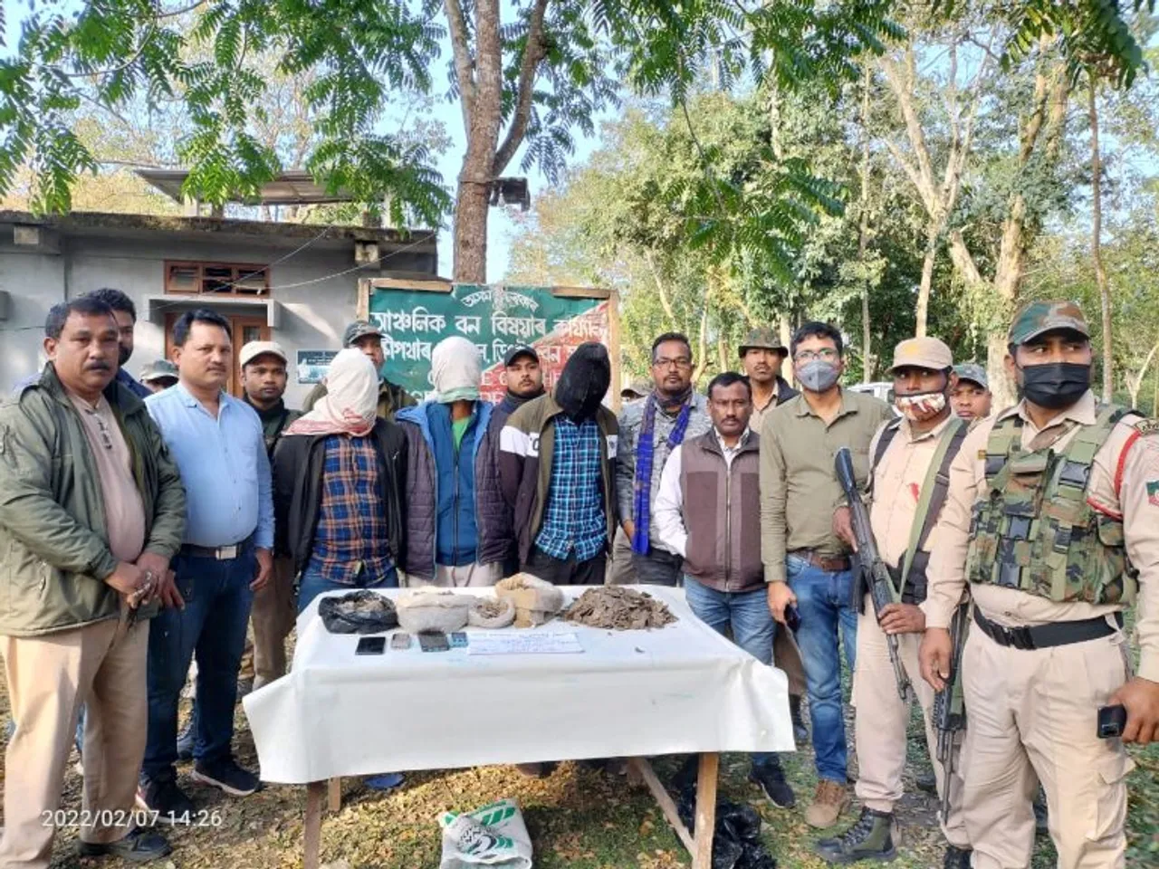 Assam: 6.3kg Pangolin Scale Recovered In Tinsukia, 3 Held