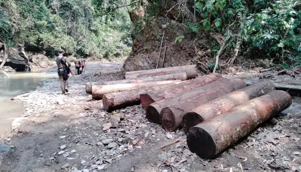 Illegal Hollong Tree Logs Seized Along Assam-Arunachal Border