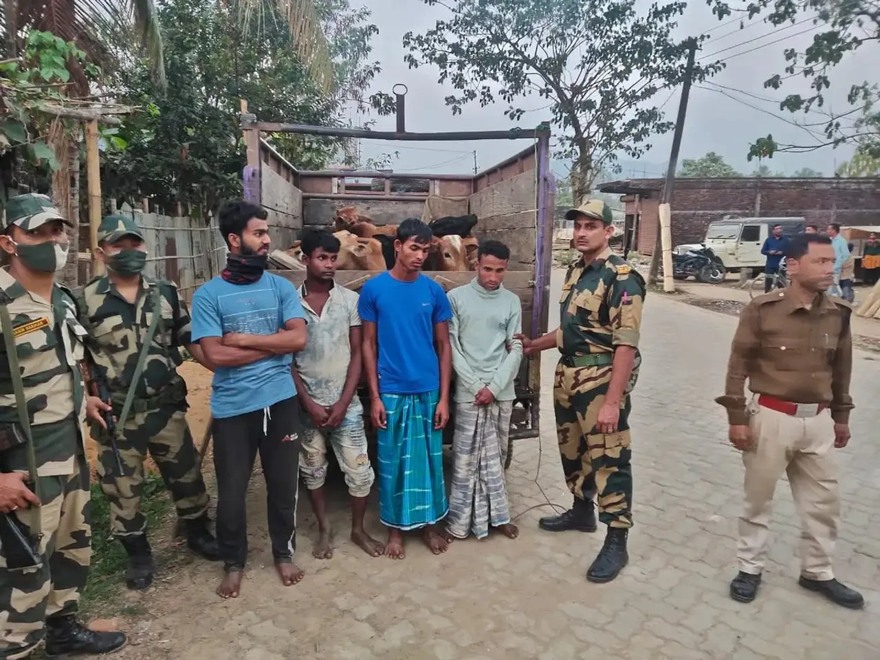Assam: BSF Foils Cattle Smuggling Bid In Cachar