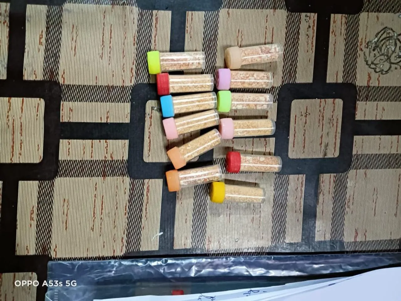 Assam: Drugs Worth Crores of Rupees Seized from Various Parts, 9 Held
