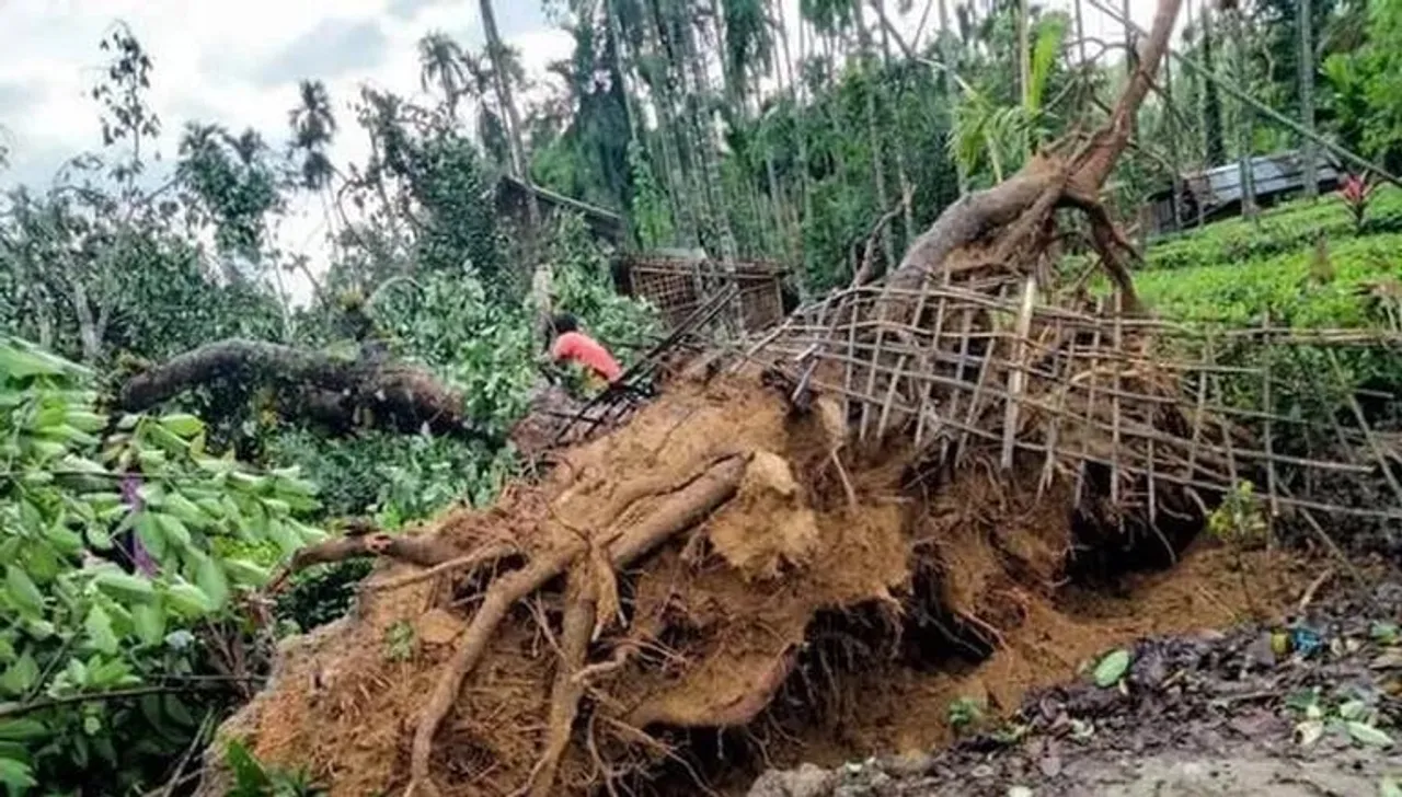 Death Toll Due To Heavy Rains, Storm In Assam Rises To 14