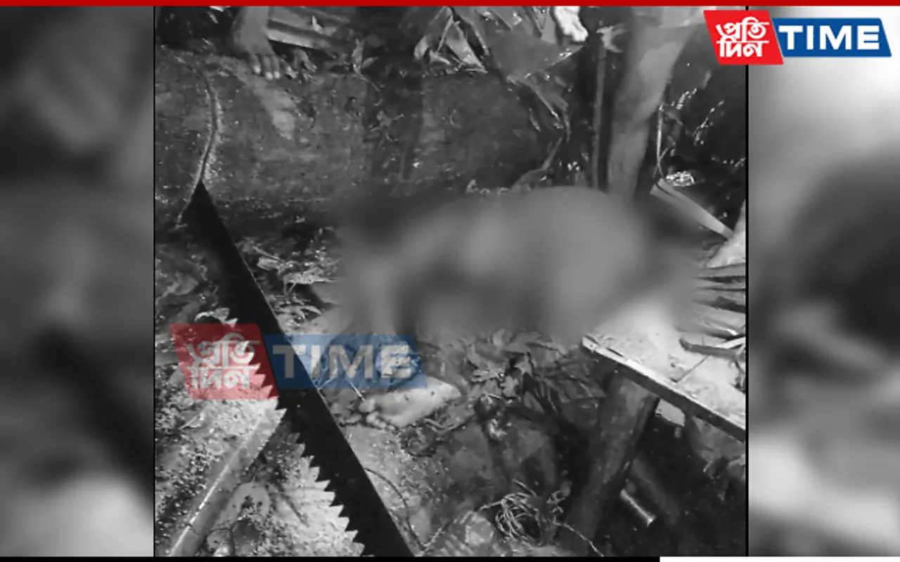 Assam: Barpeta Woman Killed After Uprooted Tree Falls On House