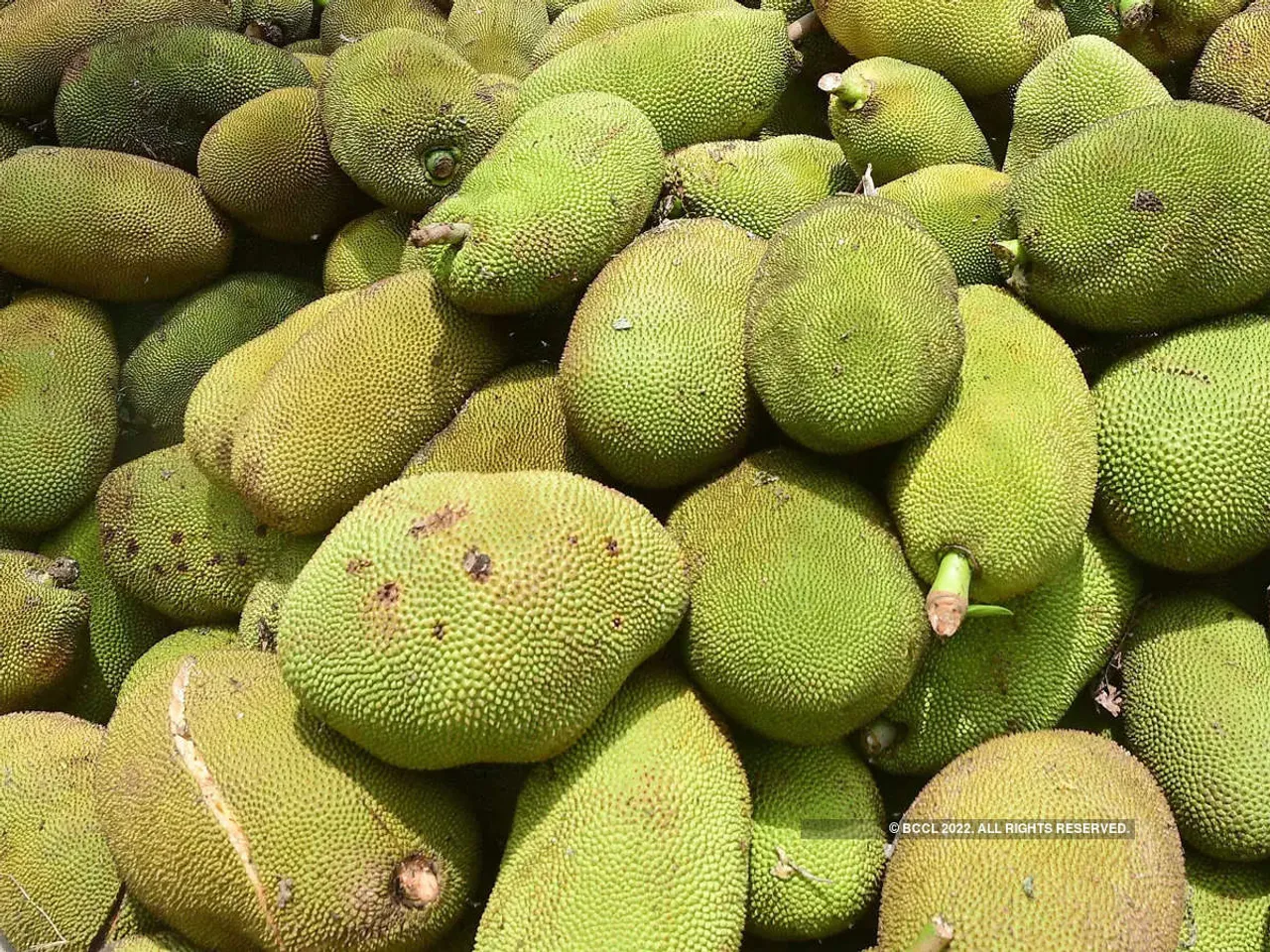 Assam Exports 1.5 tonnes of Jackfruit to Dubai