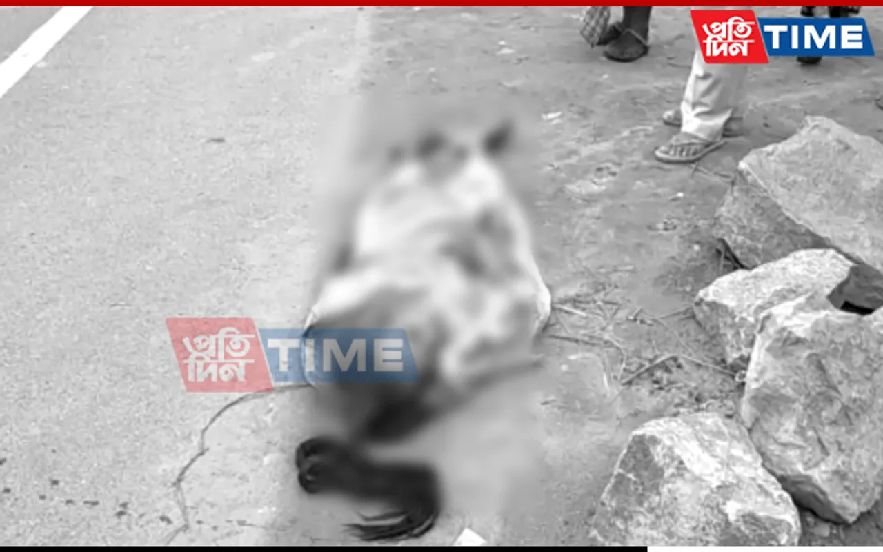 Elderly Woman Hit By Ambulance Dies In North Guwahati