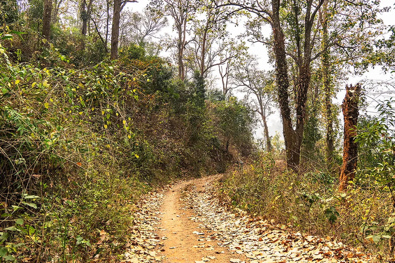 Assam: Garbhanga Reserve Forest to be declared Wildlife Sanctuary 