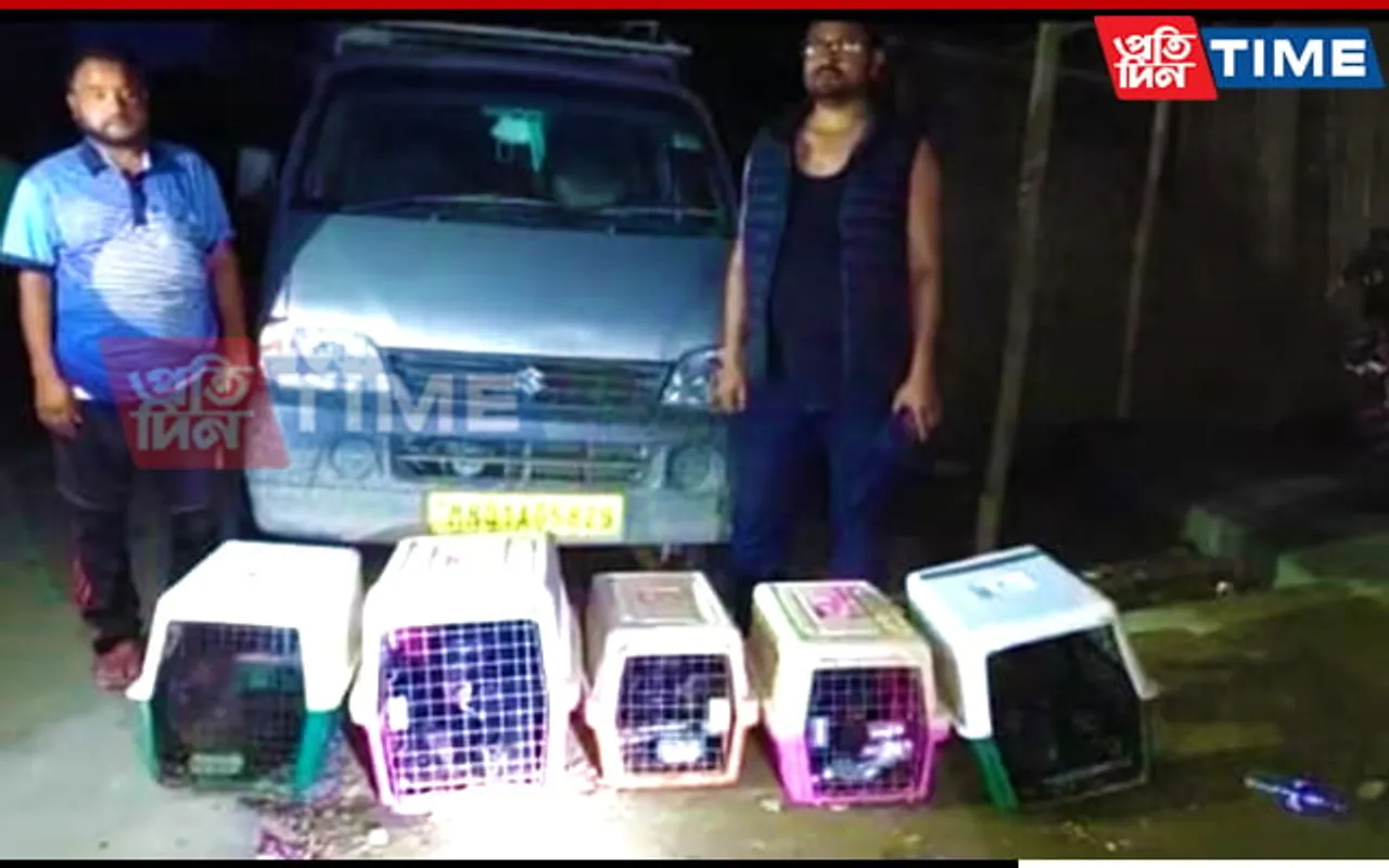Assam: Police Rescue 5 Chimpanzees in Bokajan