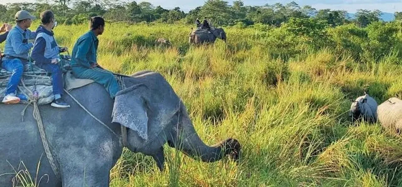 Elephant Safari Temporarily Suspended for Population Estimate at Kaziranga