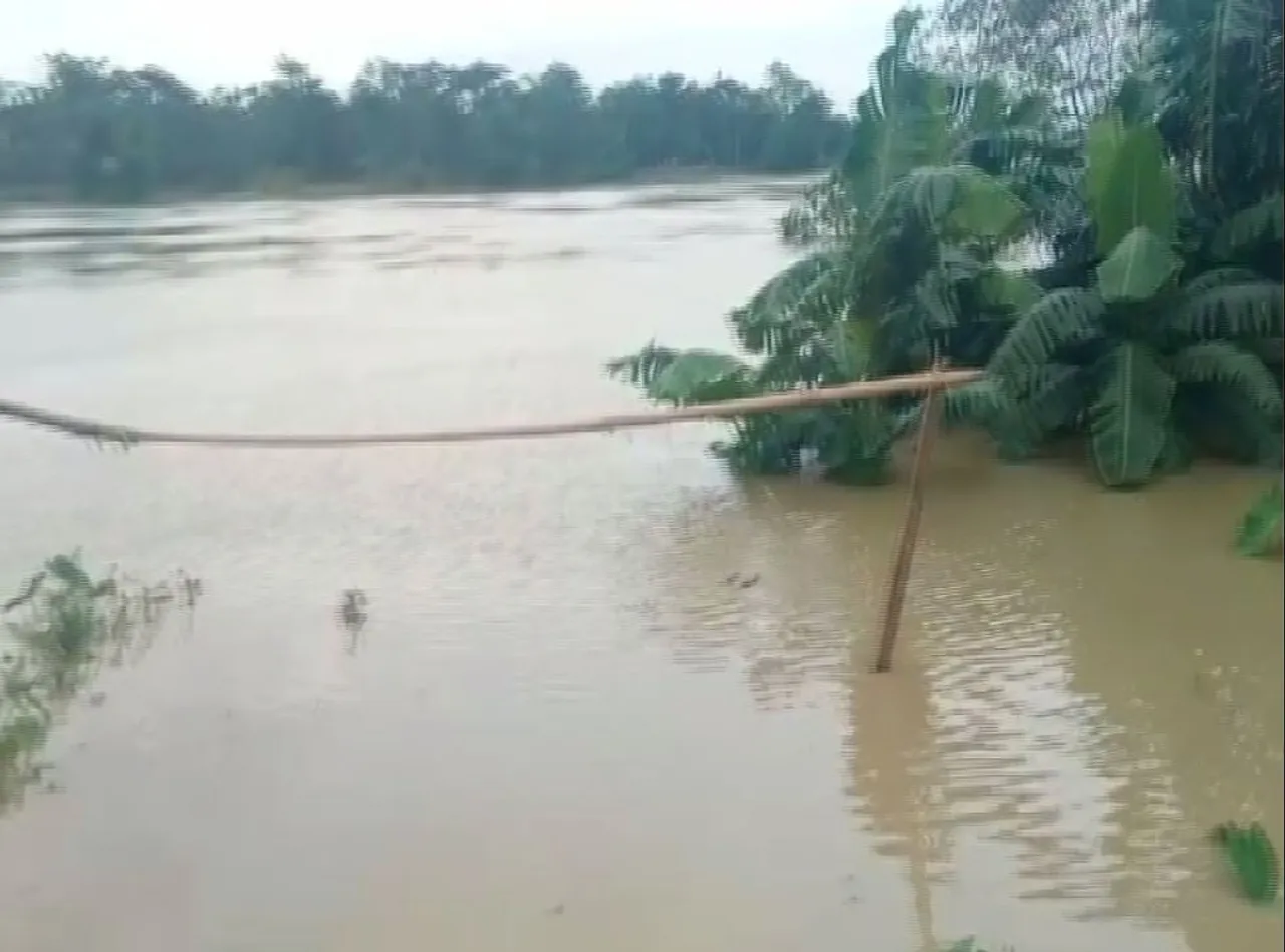 Barak Valley Flood: DCs Hold Meetings Amidst Flood Crisis