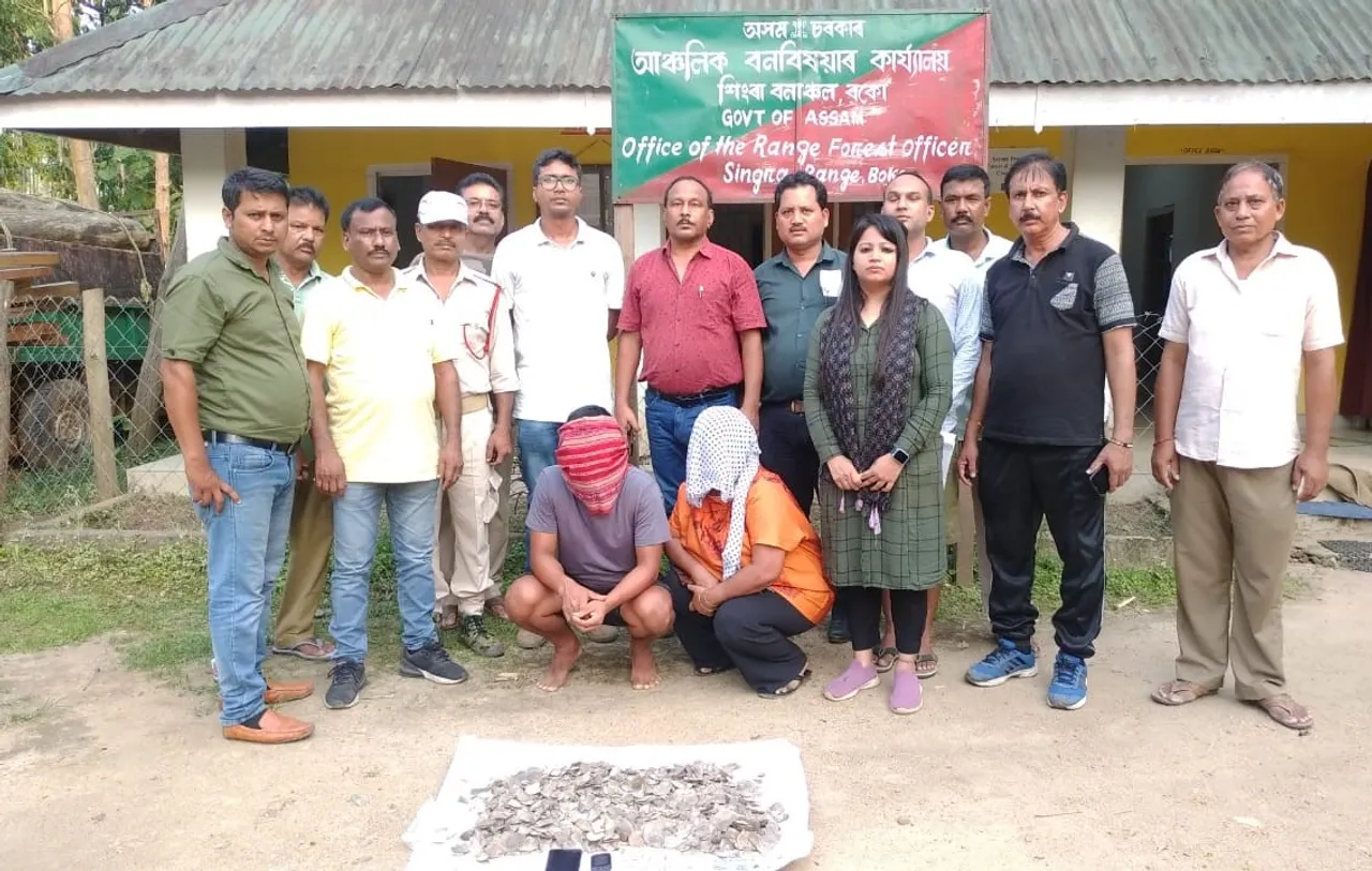 Over 2 Kg Pangolin Scales Seized In Assam, Two Held